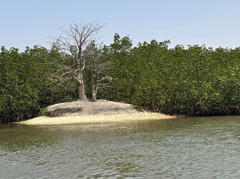 Yerim Tours Senegal-莫布瓦必去景点