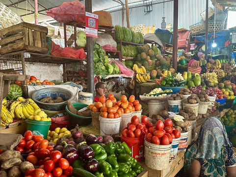 Big 5 Africa Tours-Bobingen必去景点