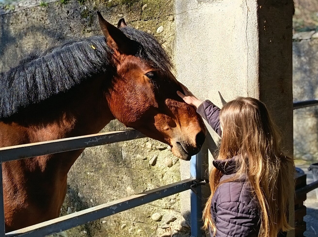 LE HARAS DE TARBES-塔布必去景点