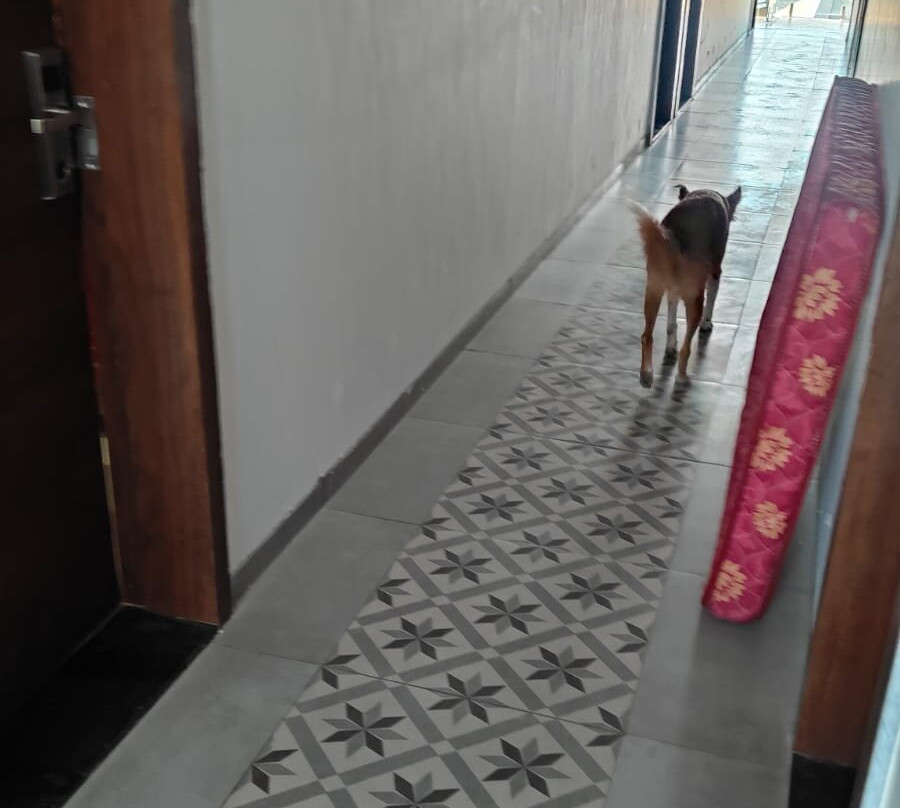 派拉蒙河滨水疗度假村主图