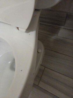 亚特兰大-德卢斯-格威内特县欢朋套房酒店-客卧