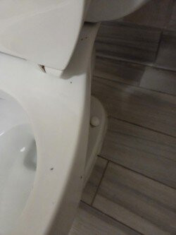 亚特兰大-德卢斯-格威内特县欢朋套房酒店主图