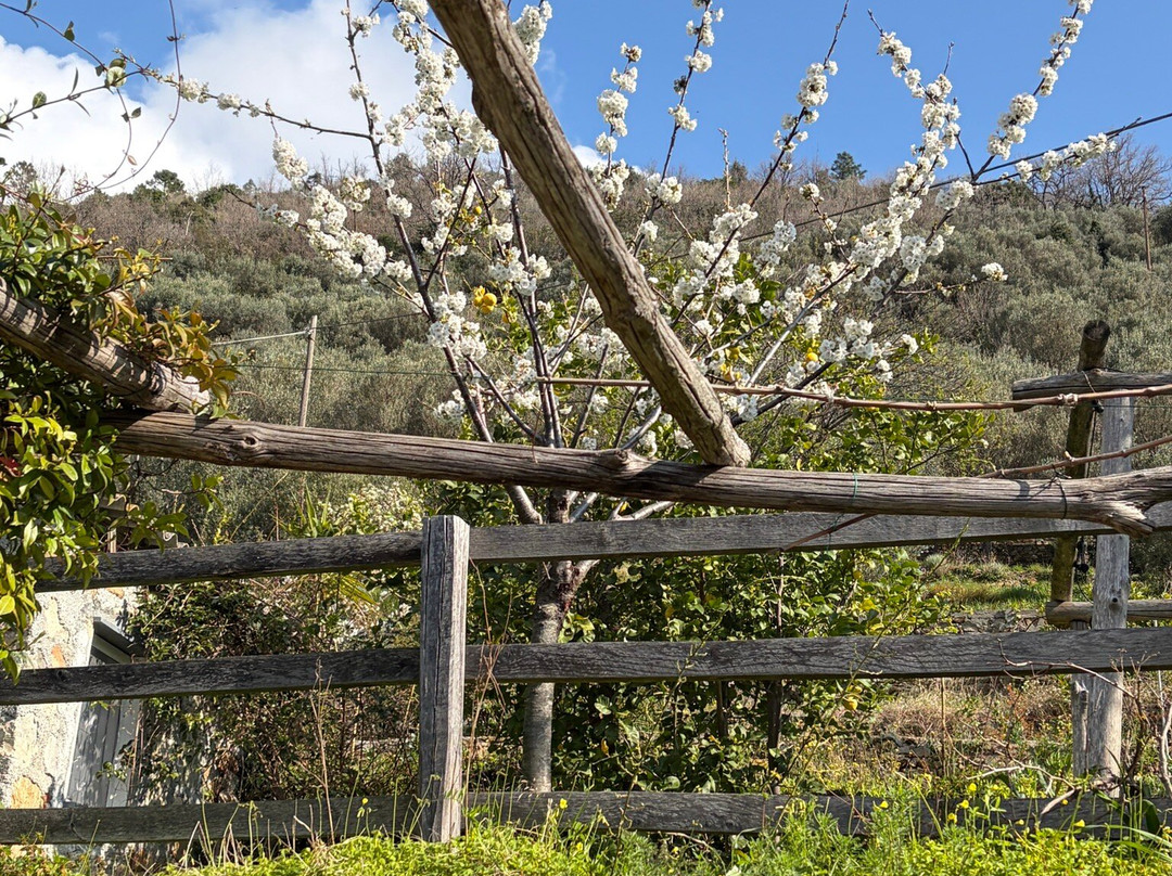 Bed And Breakfast Cà De Badin主图