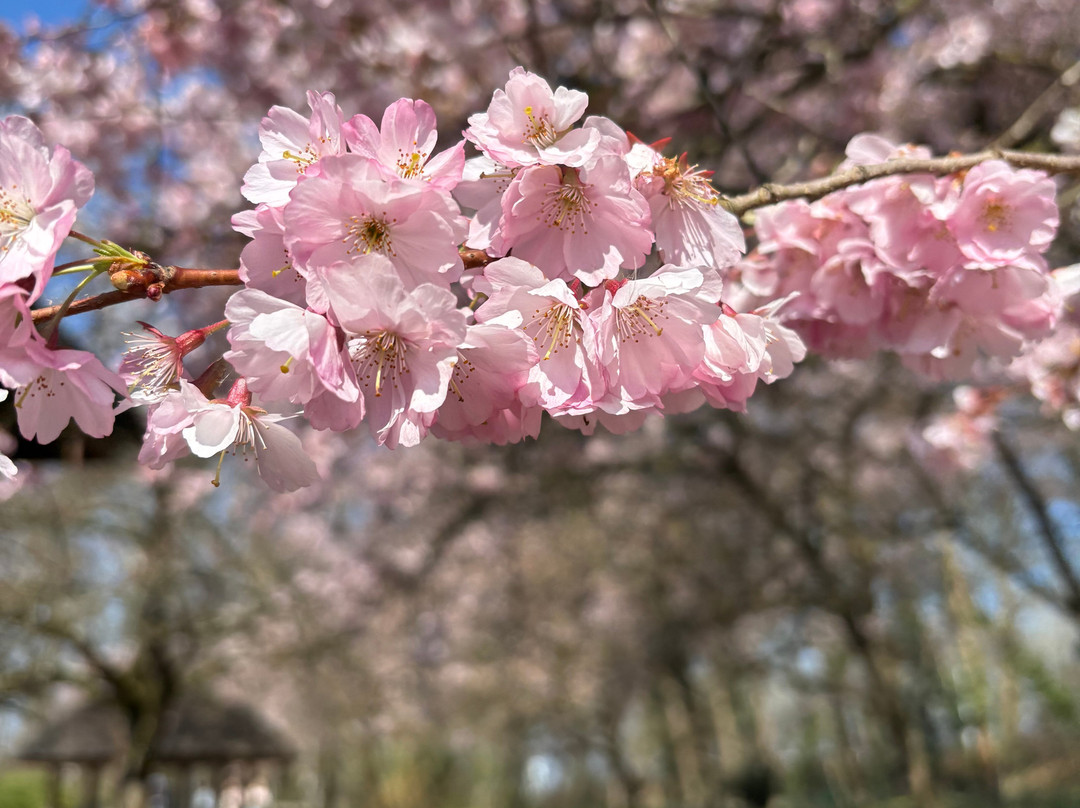 福鲁托夫住宿加早餐旅馆主图