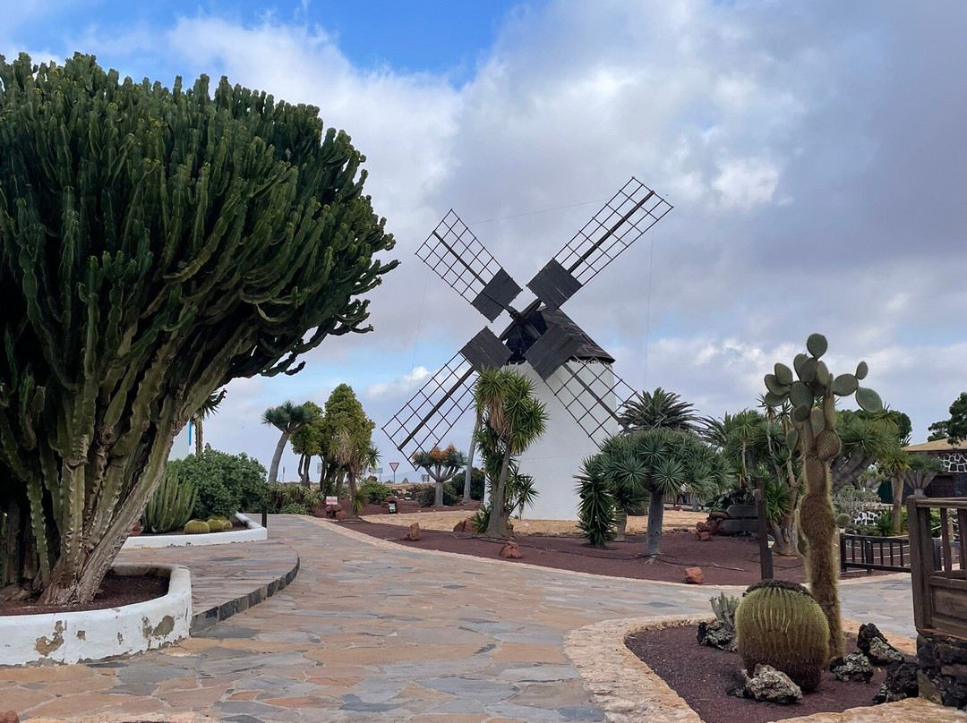 Museo del Queso Majorero-Antigua必去景点