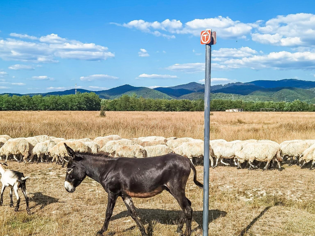Via Transilvanica-Piatra Fantanele必去景点