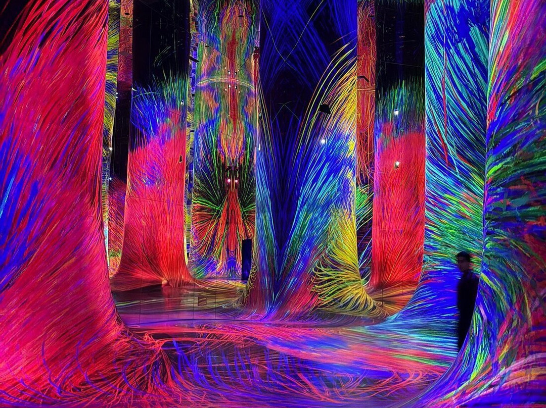 teamLab Phenomena Abu Dhabi-阿布扎比必去景点