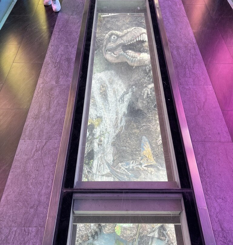 Zaisan Hill Monument-乌兰巴托必去景点