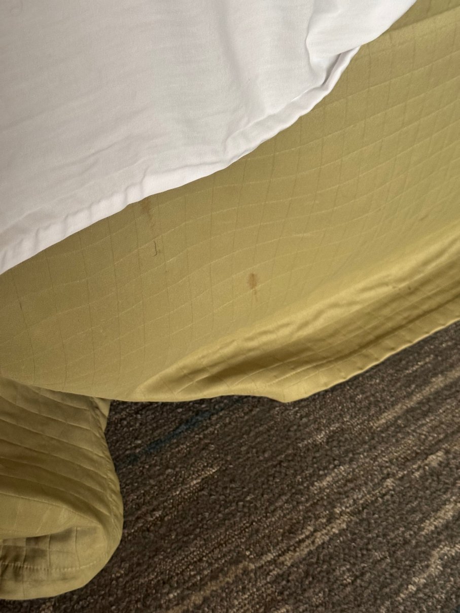 斯特劳兹堡波科诺斯欢朋酒店-客卧