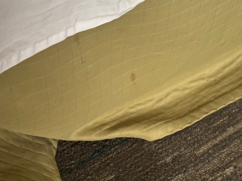 斯特劳兹堡波科诺斯欢朋酒店主图