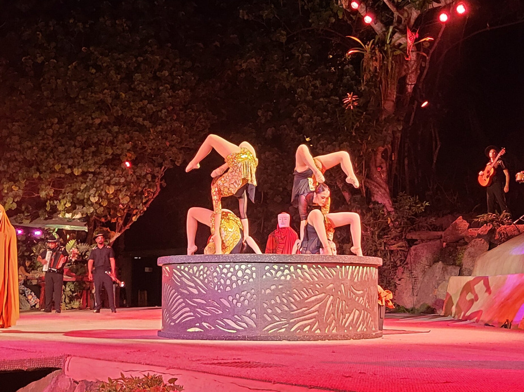 Rhythms of the Night by Vallarta Adventures-瓦拉塔港必去景点