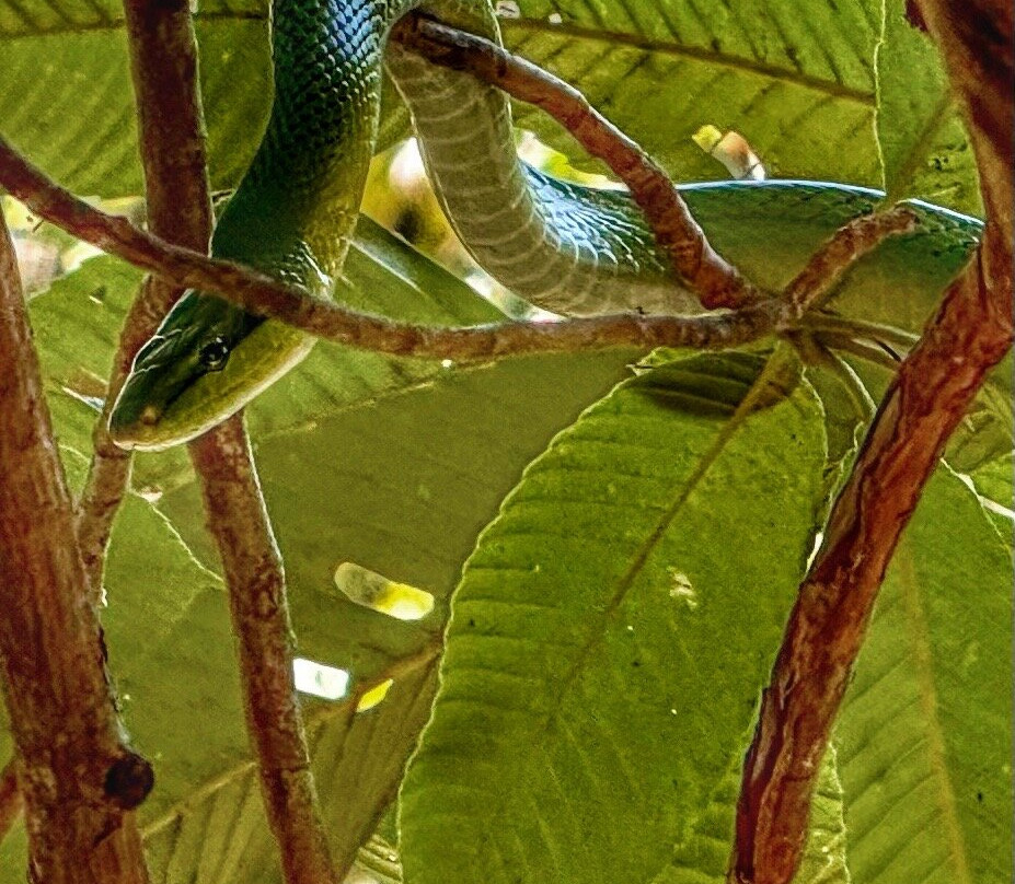 Go Travel Phuket-普吉岛必去景点