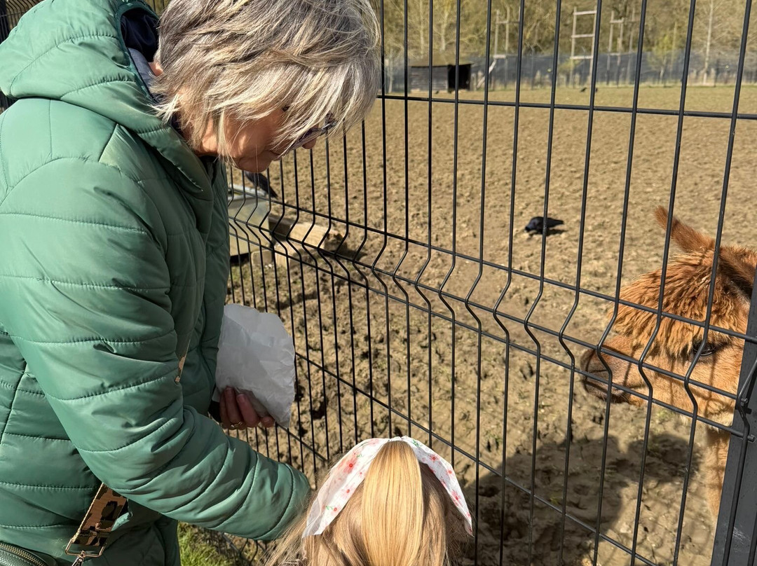 Ashlyns Wildlife Park-North Weald必去景点