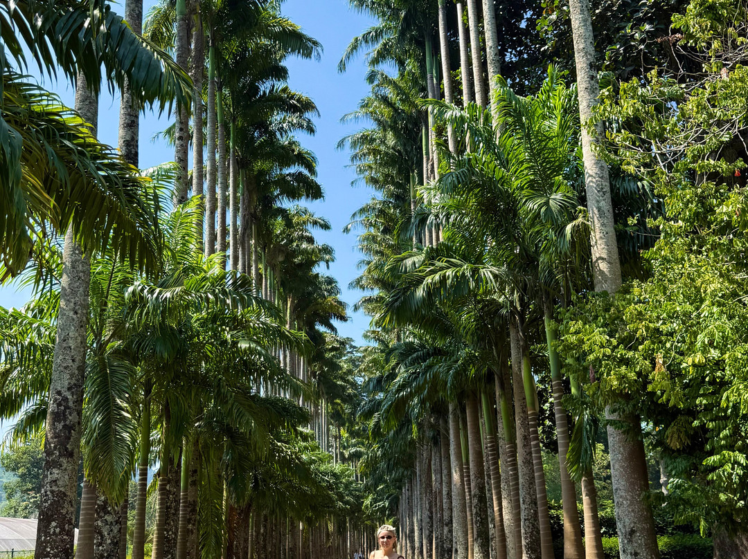 Sri Shannon Tours-尼甘布必去景点