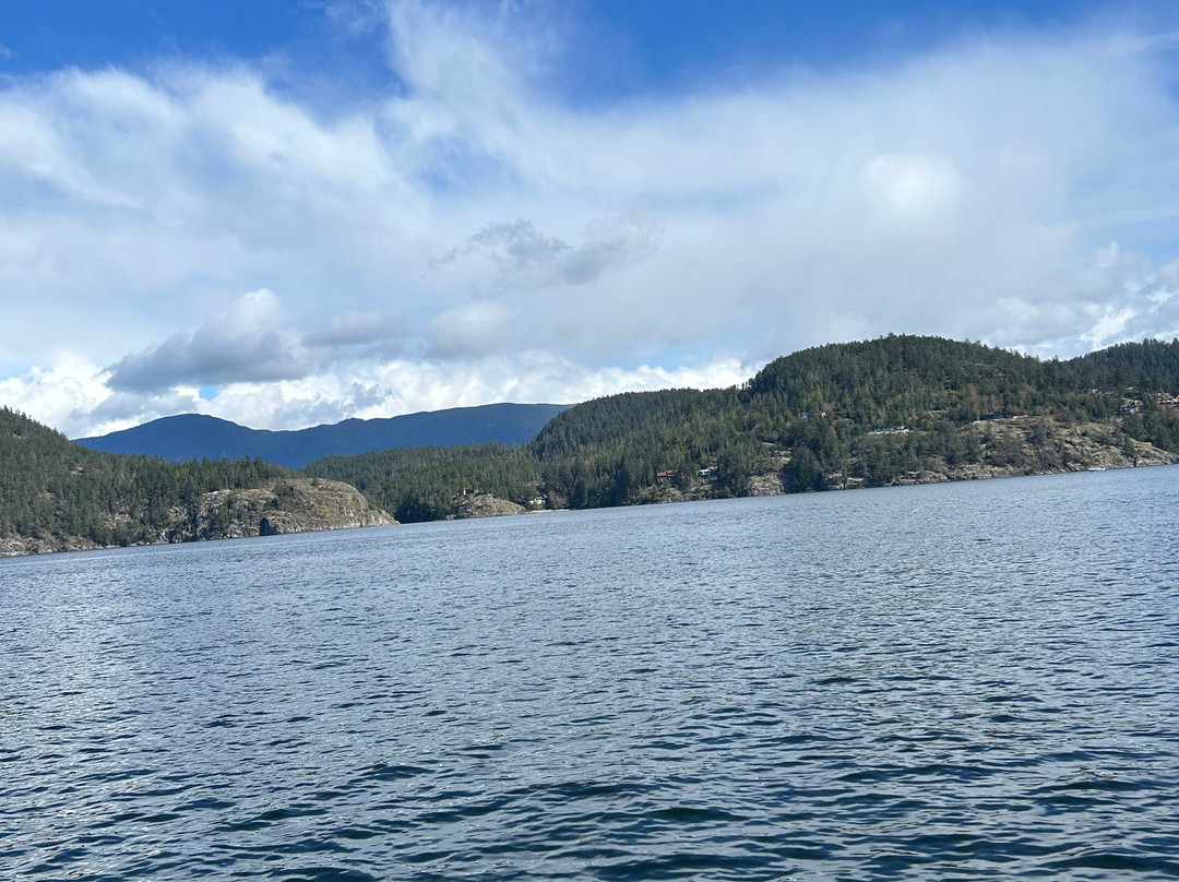 Lady Jean boat tours