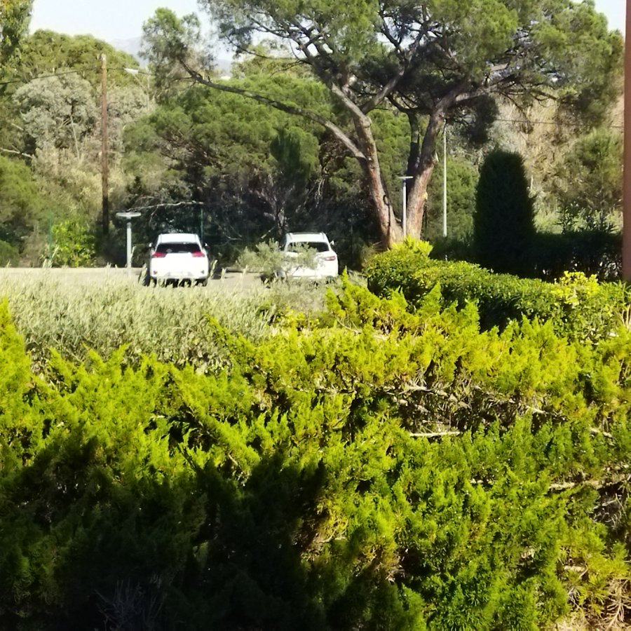 奥达利斯尤加利庄园公寓-官方