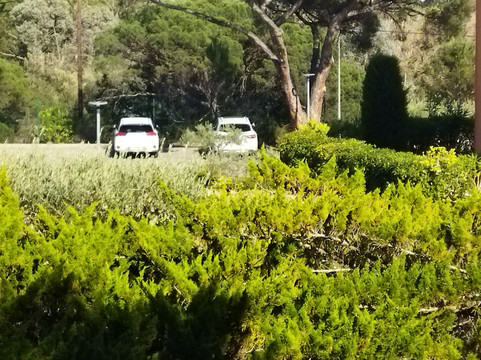 奥达利斯尤加利庄园公寓主图