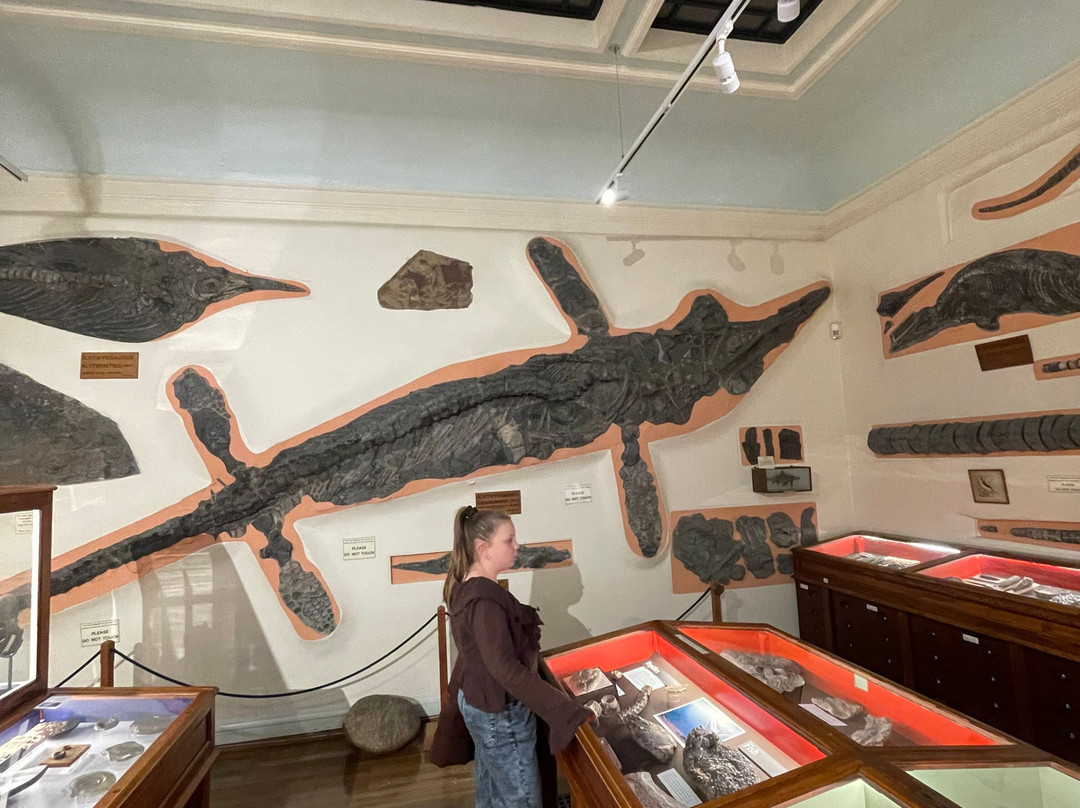 Whitby Museum-惠特比必去景点