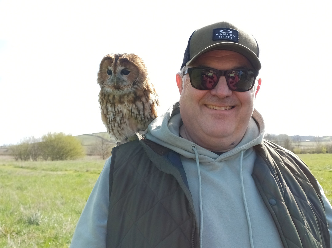 Bird on the Hand Falconry Experiences-Church Langton必去景点