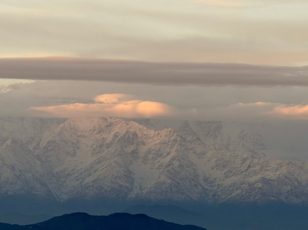 Nest and Hives主图