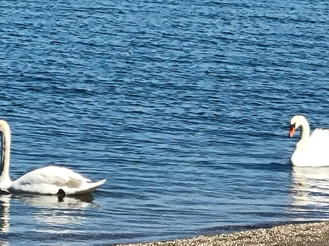 Lago di Bracciano-Province of Rome必去景点