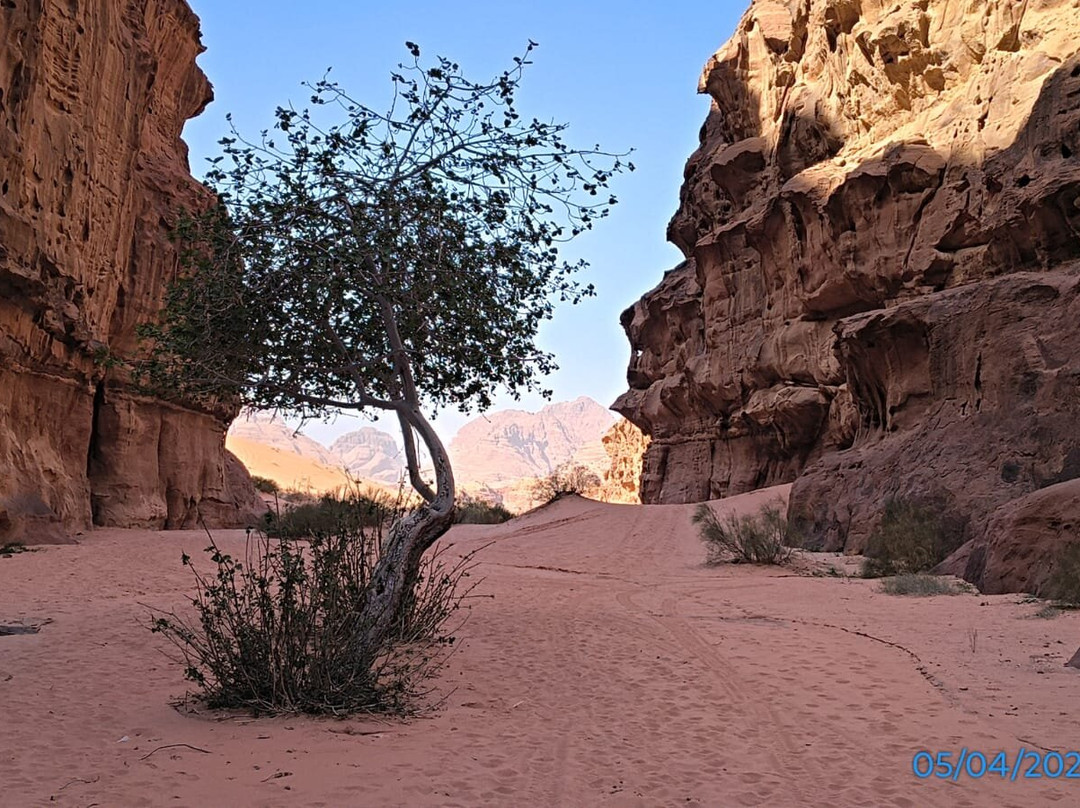 Bedouin Nights Camp-Wadi Rum Village必去景点