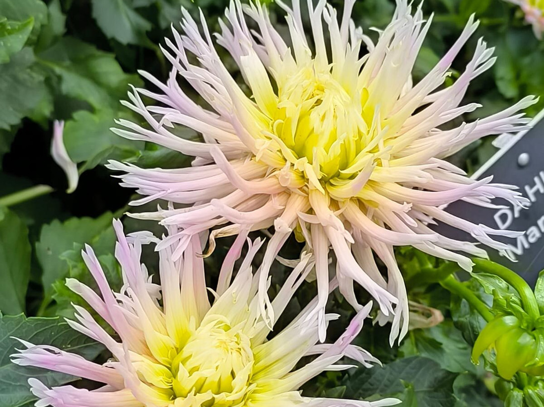 Jardin Botanique Jean-Marie Pelt-Villers-les-Nancy必去景点