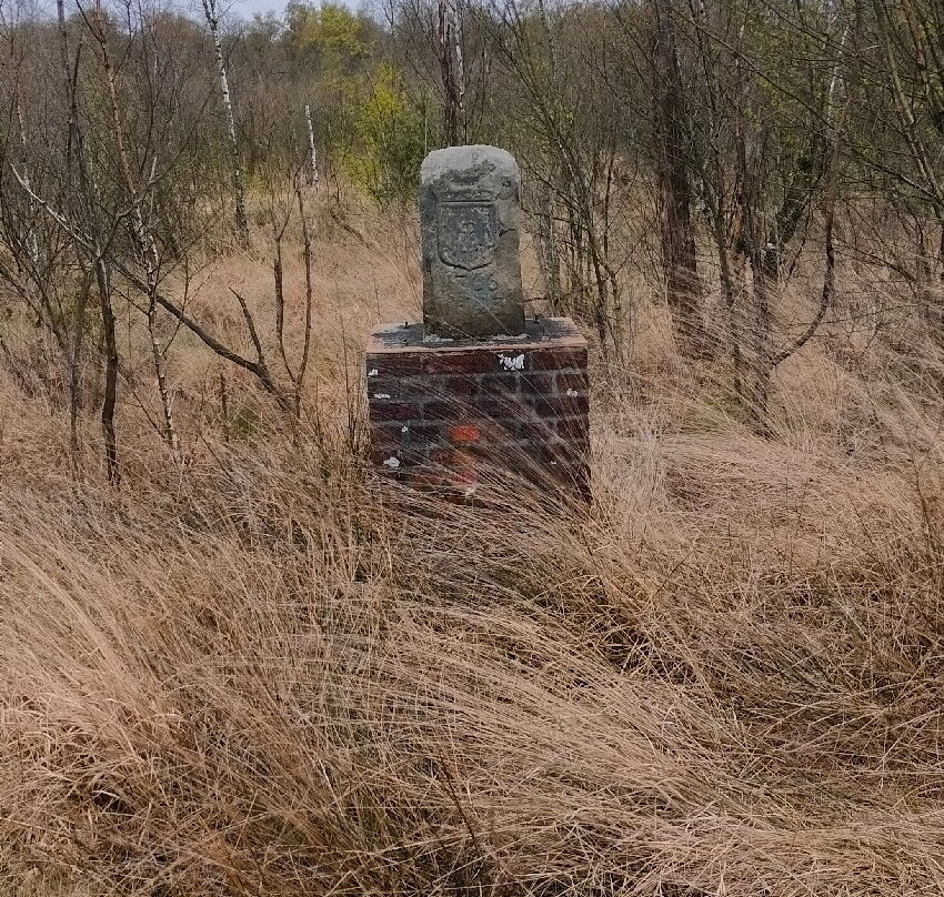 Veenemaat