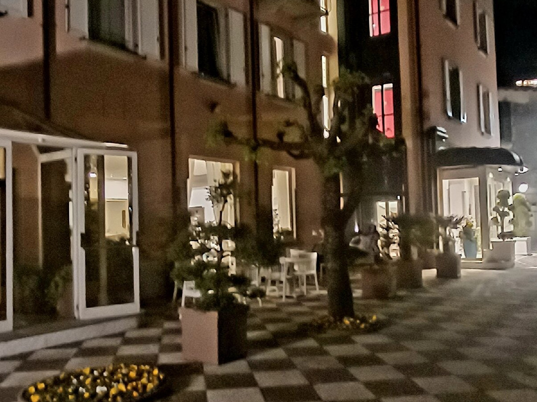 阿斯尼歌酒店主图