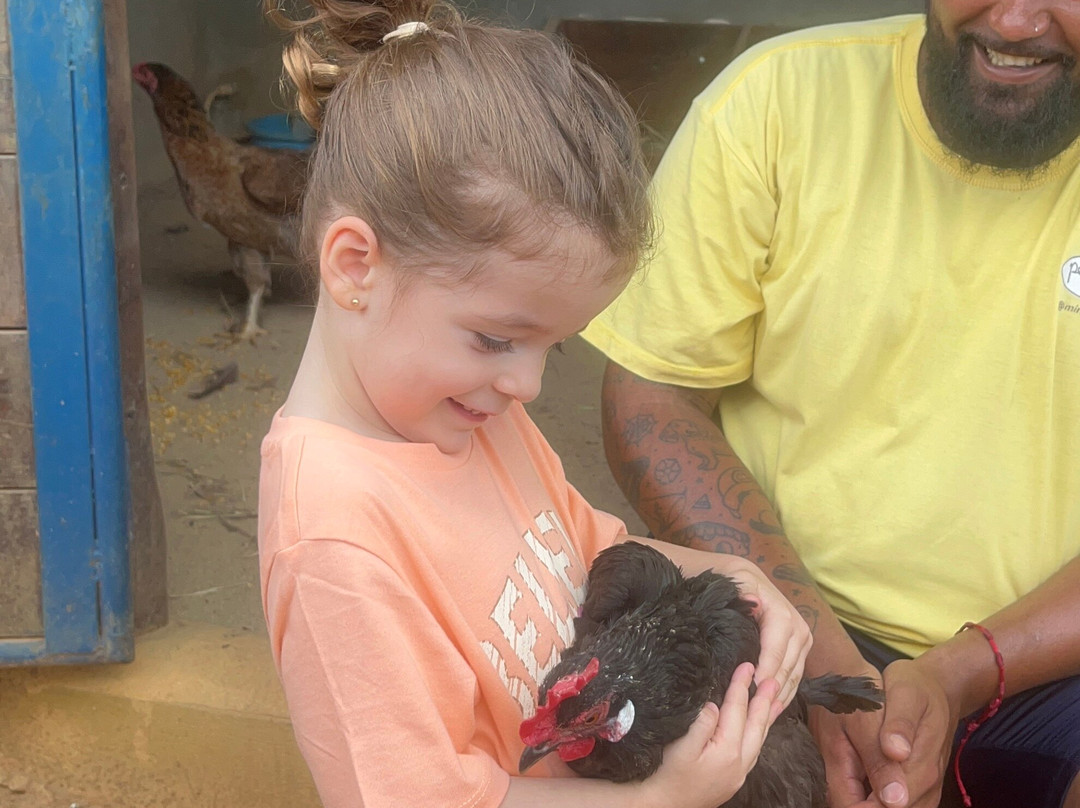 Mini Fazenda Pet Zoo-Cotia必去景点