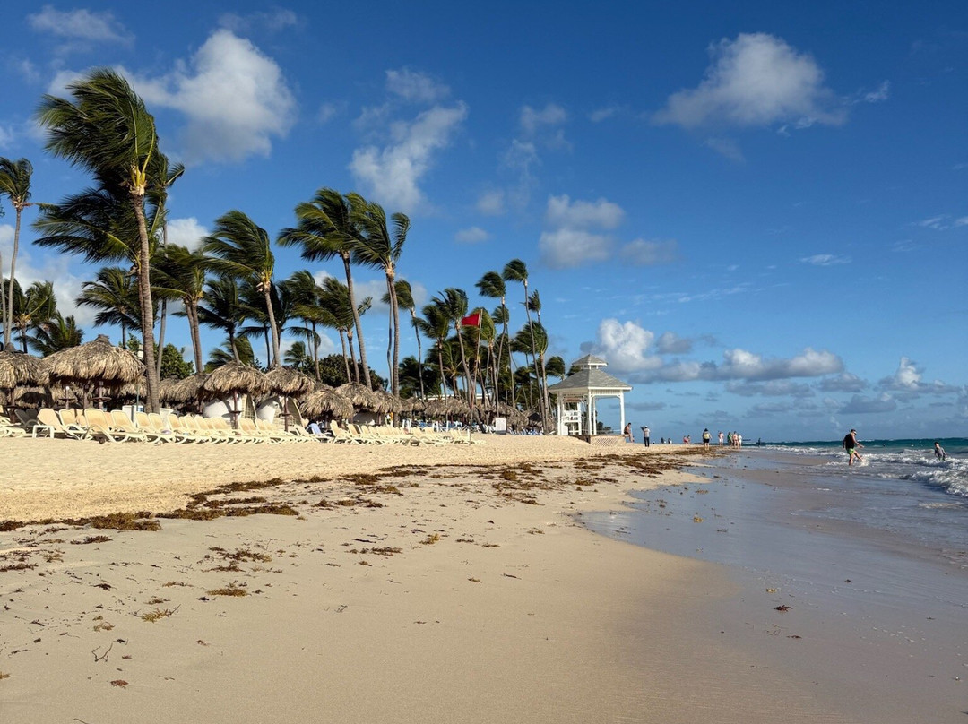 Arena Gorda Beach-蓬塔卡纳必去景点