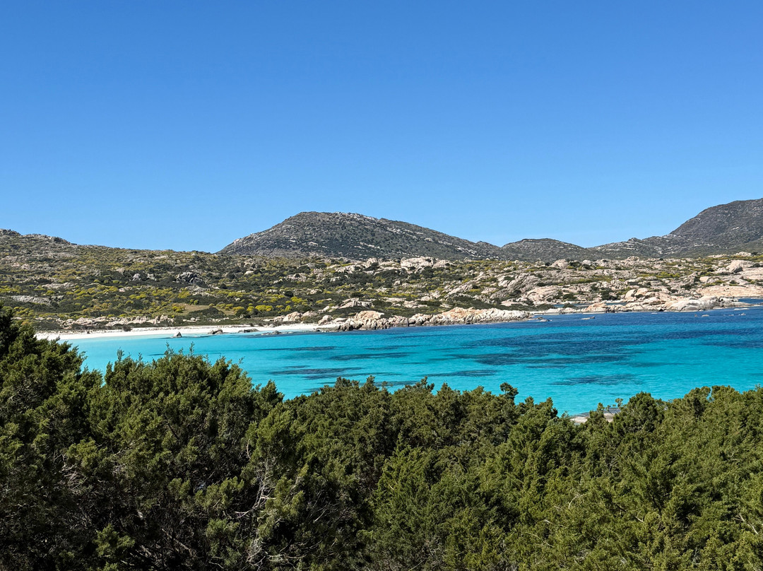 Futurismo - Escursioni Asinara-斯廷蒂诺必去景点