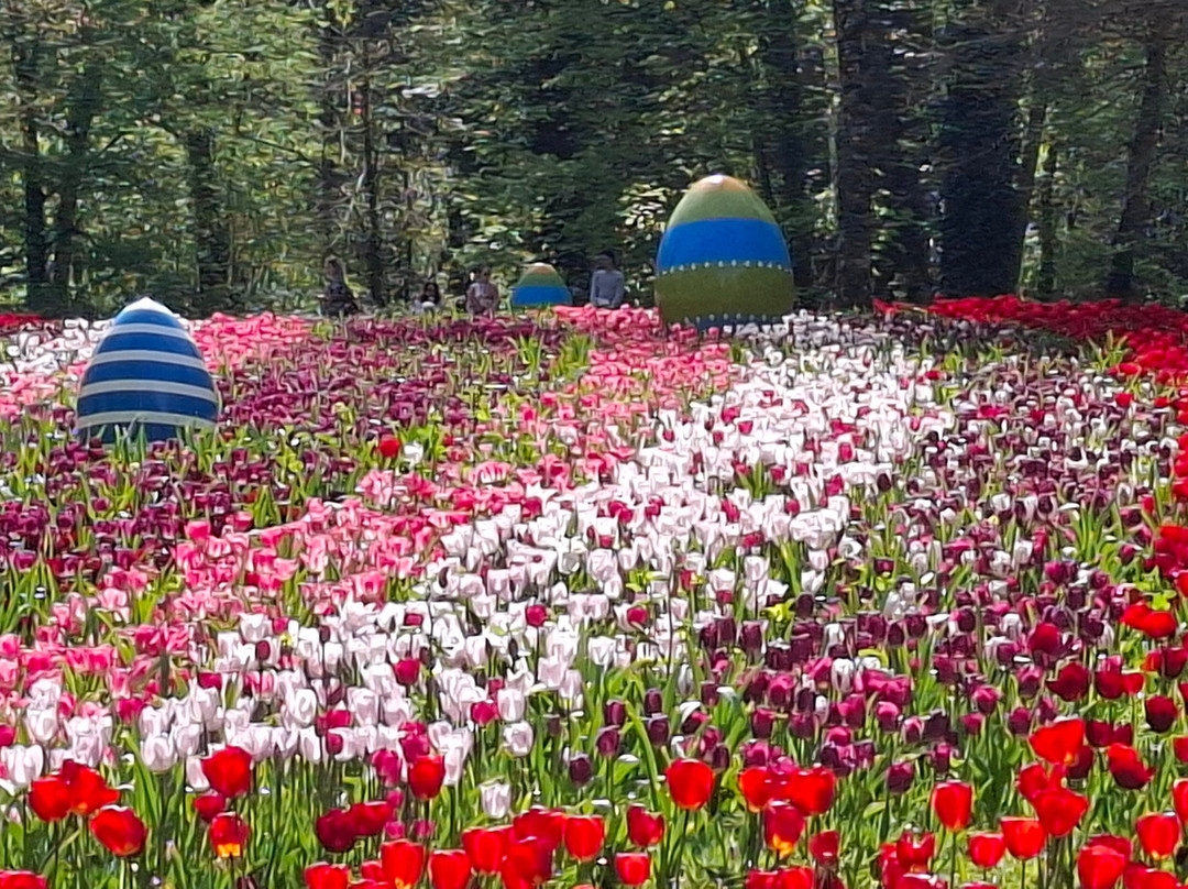 Spa By Caudalie-雪瓦尼城堡必去景点