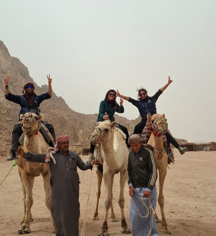 Equestrian Dream Egypt-赫尔格达必去景点