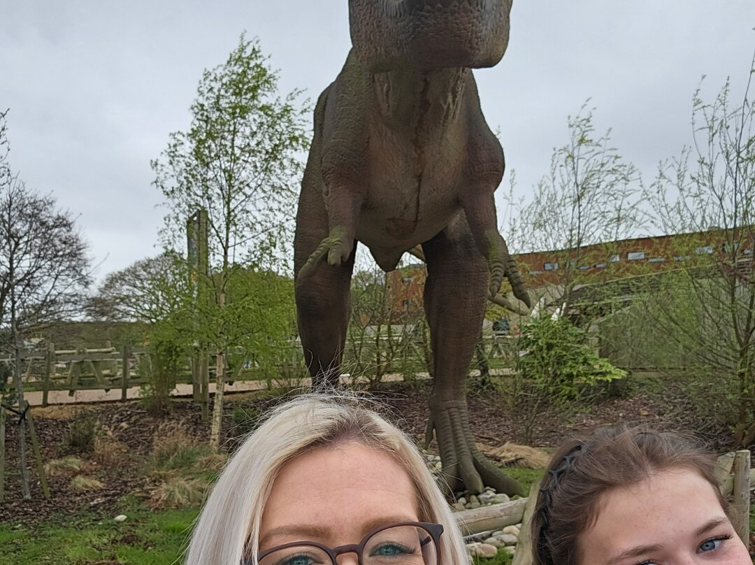 Yorkshire Wildlife Park-Auckley必去景点