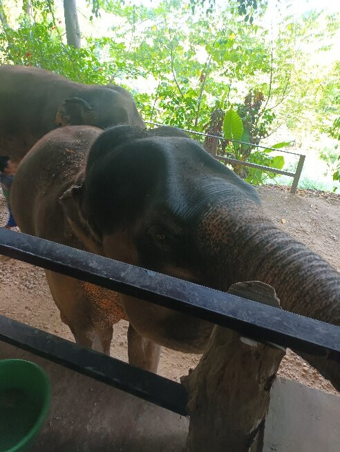 Eco Khao Lak Adventure - Private Day Tours-拉克山必去景点