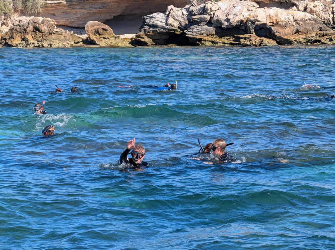 Lobster Shack Sea Lion Tour