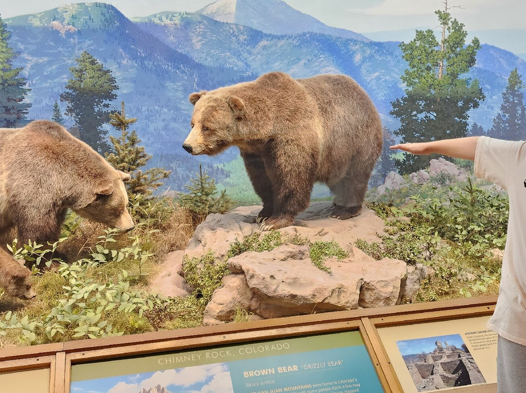 丹佛自然科学博物馆-丹佛必去景点