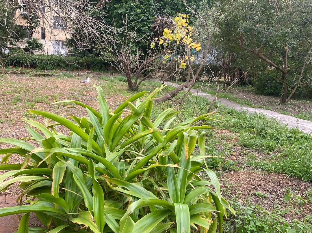 Orto Botanico-巴勒莫必去景点