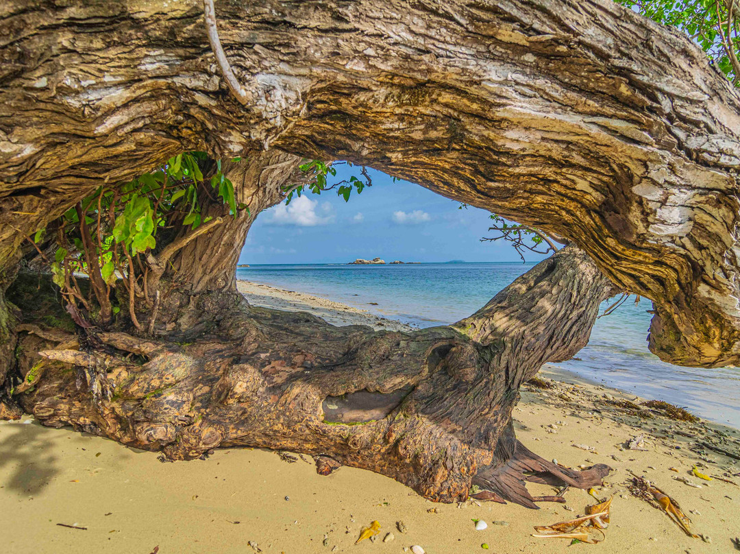 Cempedak Private Island主图