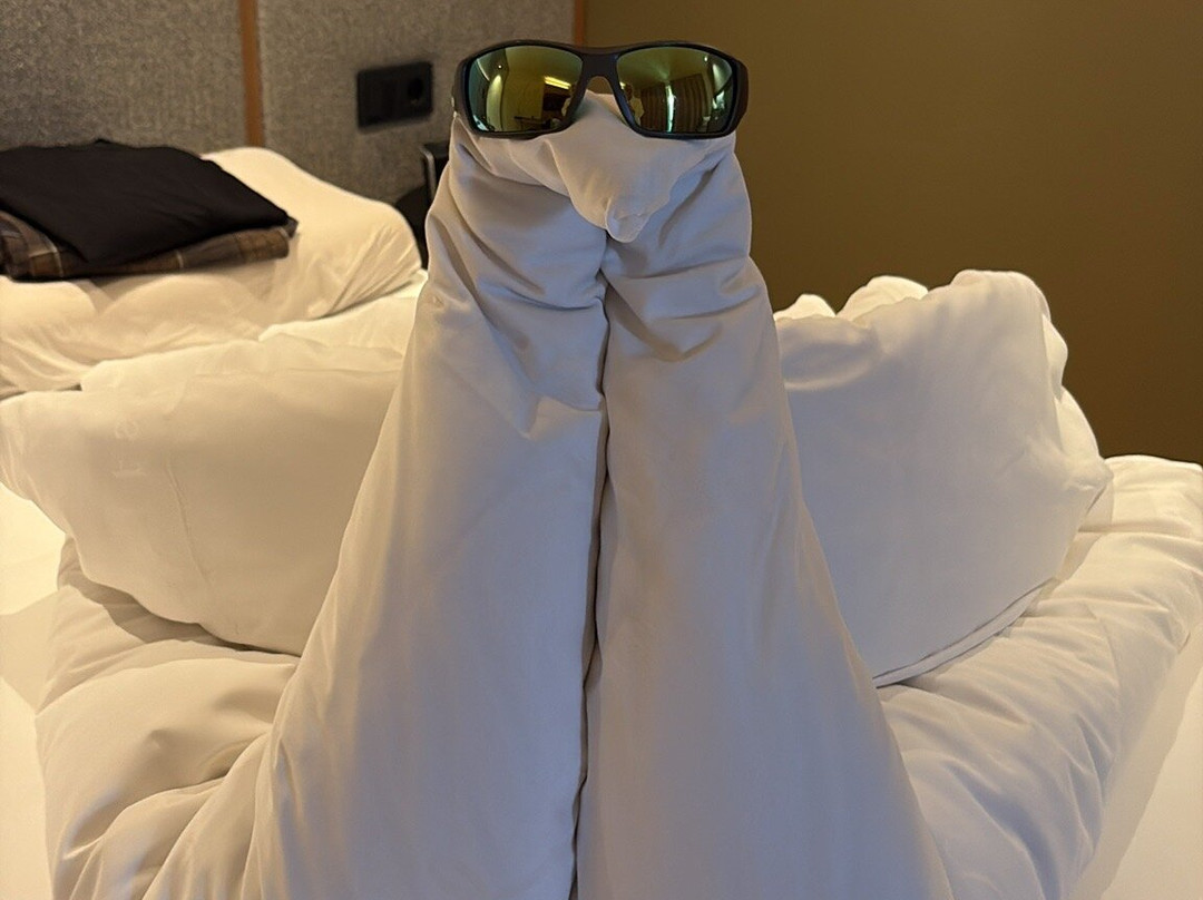 Hotel Lisetta主图
