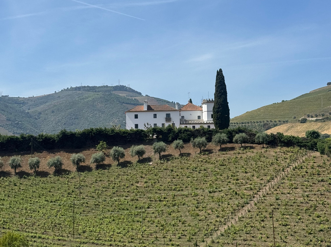 Quinta dos Frades-Armamar必去景点