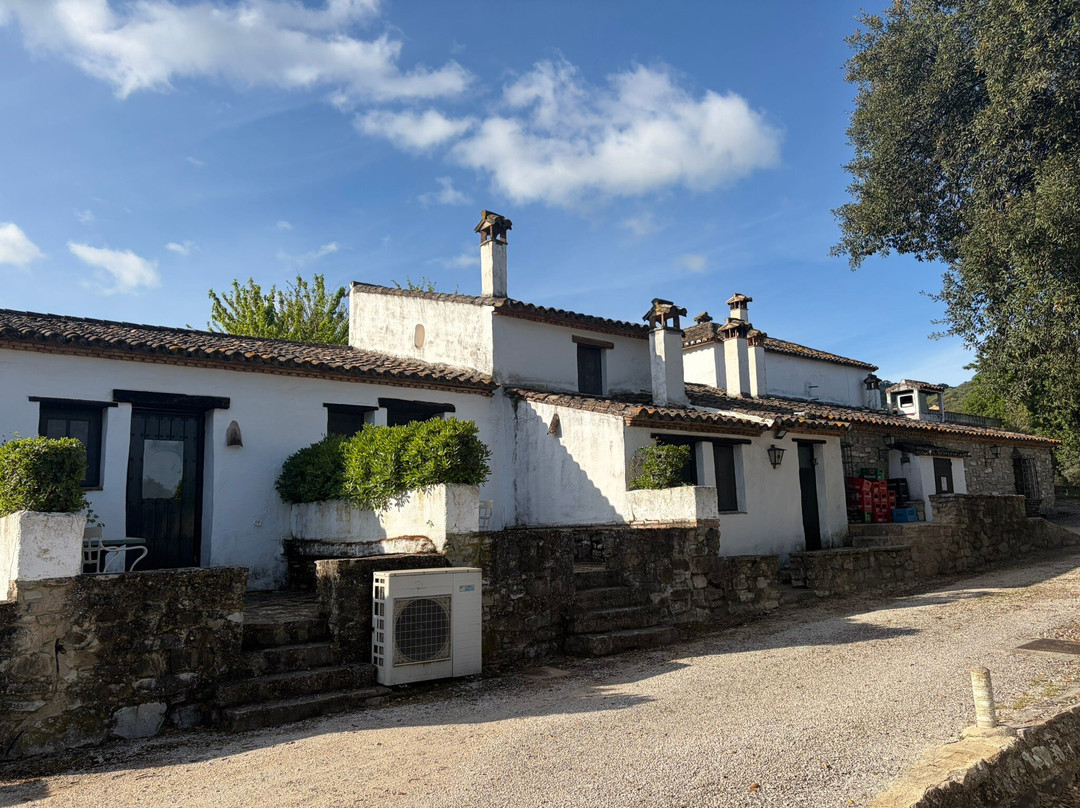 埃尔胡尔卡霍酒店主图