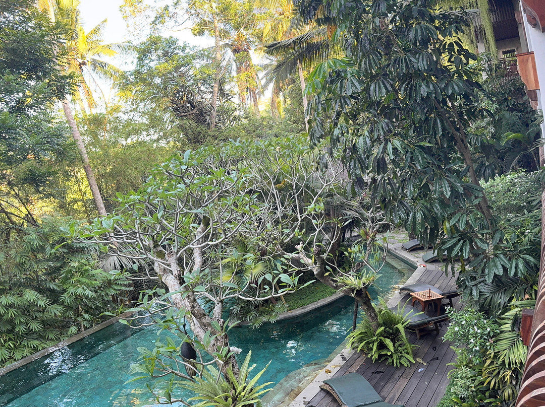 乌布阿卡马拉迪吉瓦酒店主图