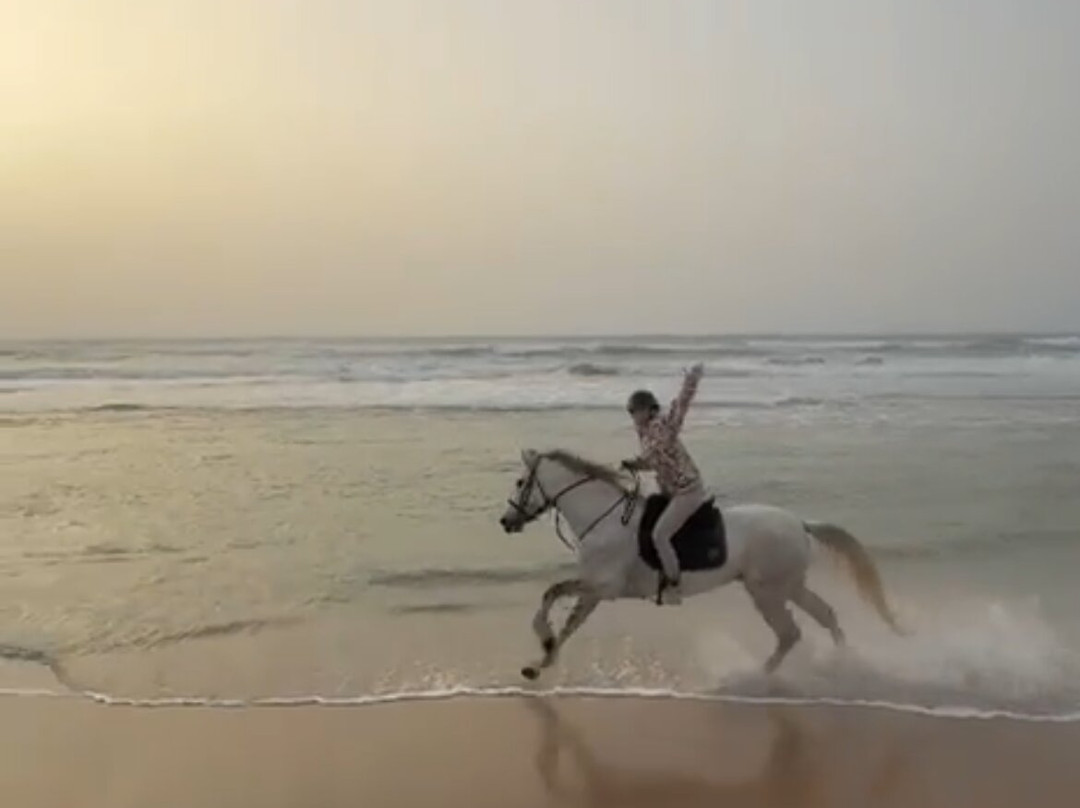 Ranch Des Dunes-达赫拉必去景点