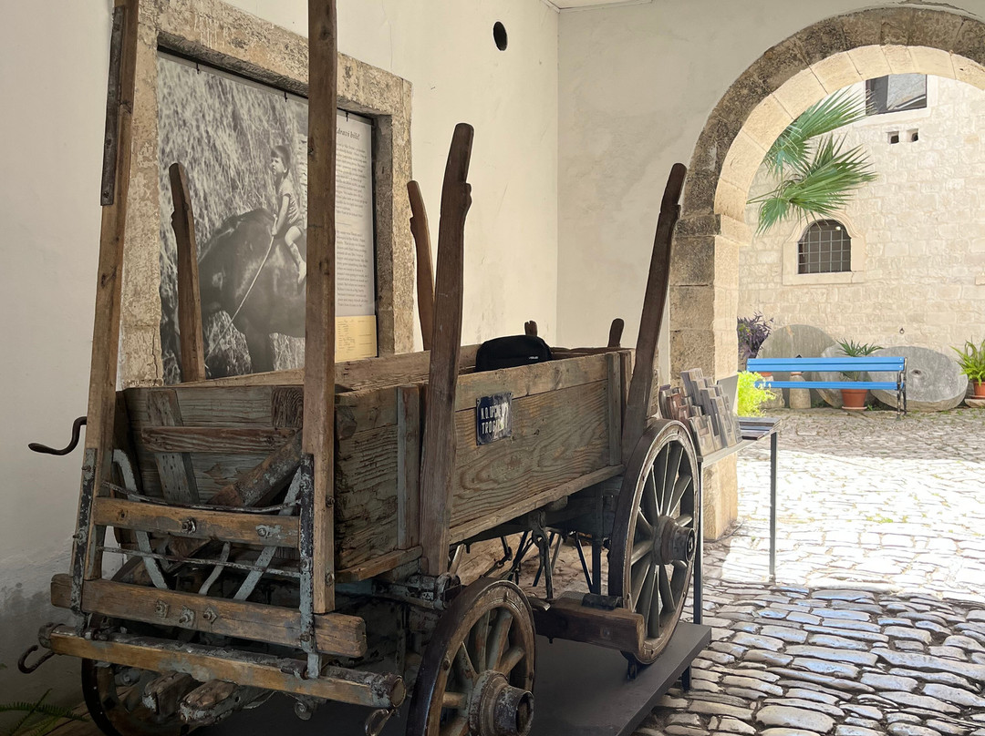 Town Museum-特罗吉尔必去景点