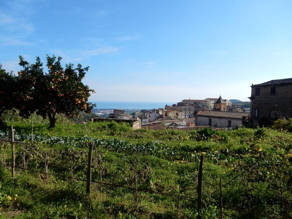 Casa Simek guesthouses