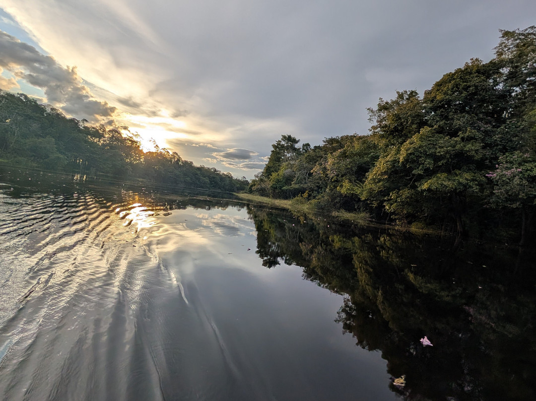 Amazon Tours Brazil-玛瑙斯必去景点