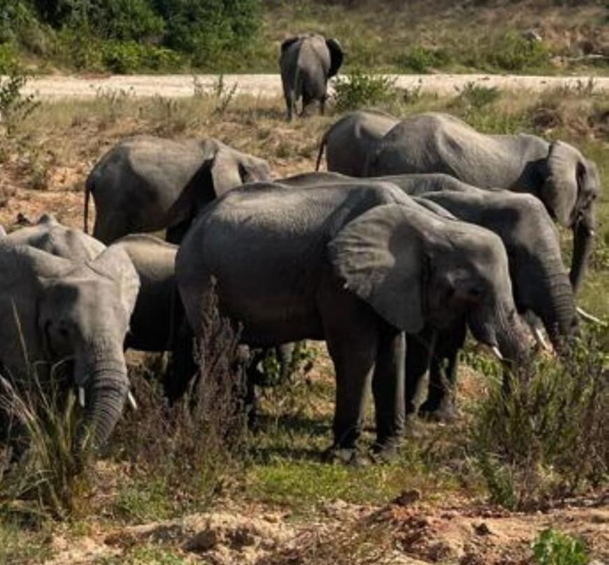 Uzuri Uganda Safaris-坎帕拉必去景点