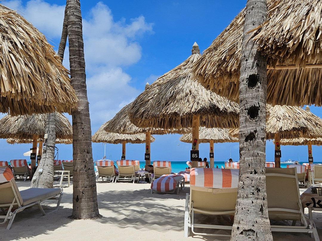 阿鲁巴岛凯悦度假酒店主图